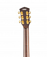 CORT Gold-A8-WCASE-LB Gold Series