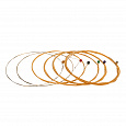 ROCKDALE PRO 10-50 Phosphor Bronze Light