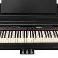 ROCKDALE Overture Black