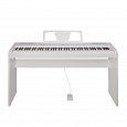 ROCKDALE Elegy White