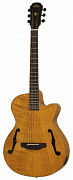 ARIA FET-F2 STBR