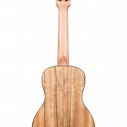 KALA KA-PWC Kala Pacific Walnut Concert Ukulele