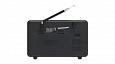RITMIX RPR-095 SILVER