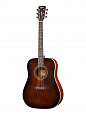 CORT EARTH70-BR-WBAG Earth Series