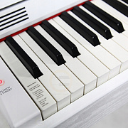 Artesia DP-10e White Satin