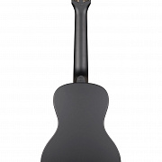 WATERMAN by KALA KA-CWB-GN Green, Matte, Concert Ukulele w/Bag
