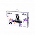 RITMIX RWM-221