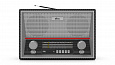 RITMIX RPR-102 CARBON