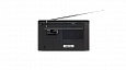 RITMIX RPR-195