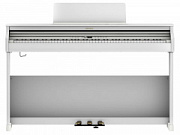 ROLAND RP701-WH