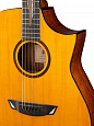CORT Luxe-WCASE-NAT