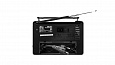 RITMIX RPR-190